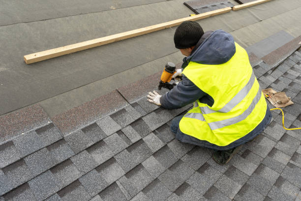 Best Roof Gutter Cleaning  in Blackshear, GA