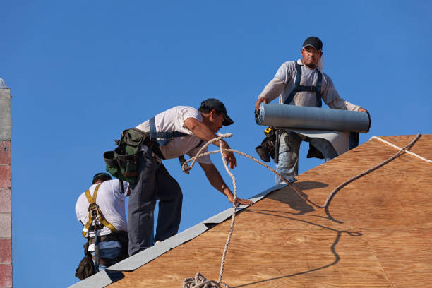 Best Residential Roof Replacement  in Blackshear, GA