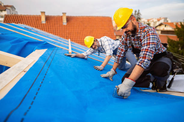Best Flat Roof Repair Services  in Blackshear, GA
