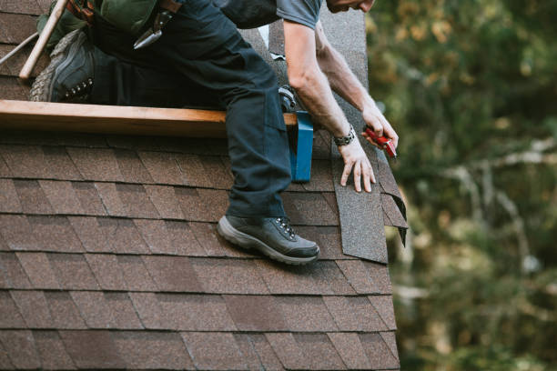 Residential Roof Replacement in Blackshear, GA