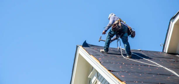 Best Shingle Roofing Installation  in Blackshear, GA